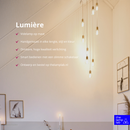 Videlamp op maat The Lamp Lab lumiere 9